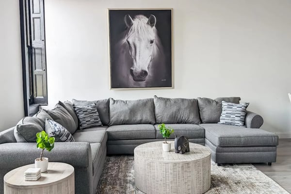 Comfortable, Curated Homes